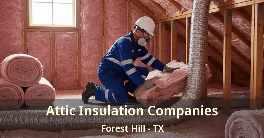 Attic Insulation Companies Forest Hill - TX