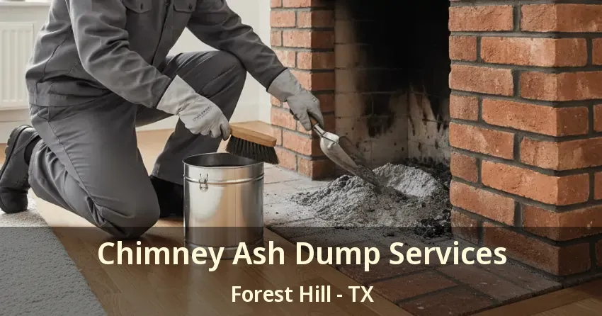 Chimney Ash Dump Services Forest Hill - TX