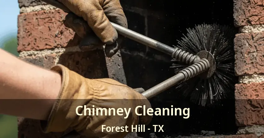 Chimney Cleaning Forest Hill - TX