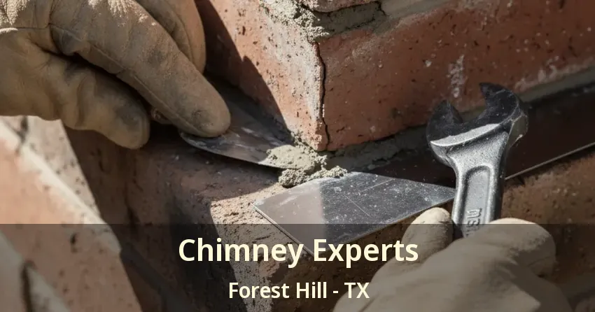 Chimney Experts Forest Hill - TX