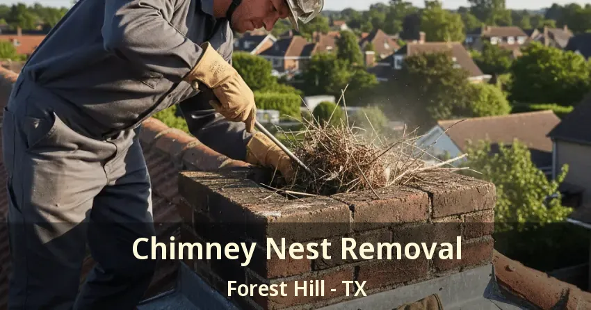 Chimney Nest Removal Forest Hill - TX Chimney Nest Removal Forest Hill - TX