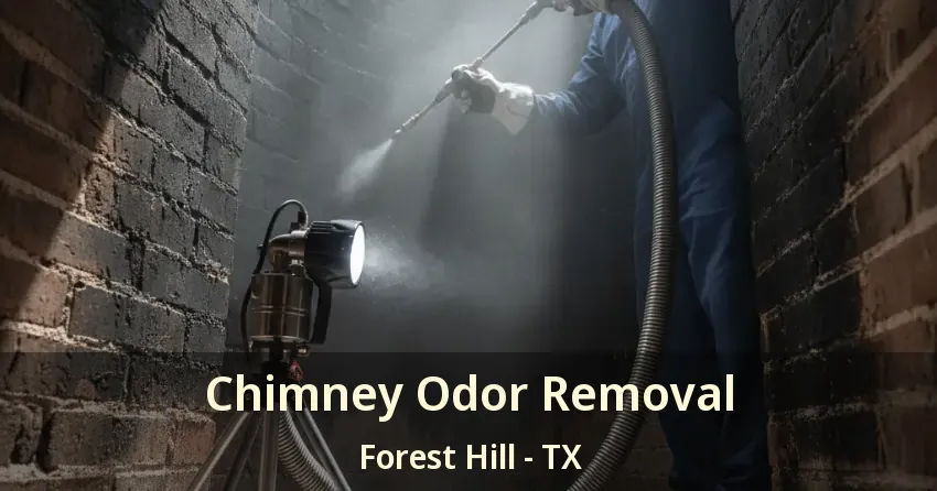 Chimney Odor Removal Forest Hill - TX Chimney Odor Removal Forest Hill - TX
