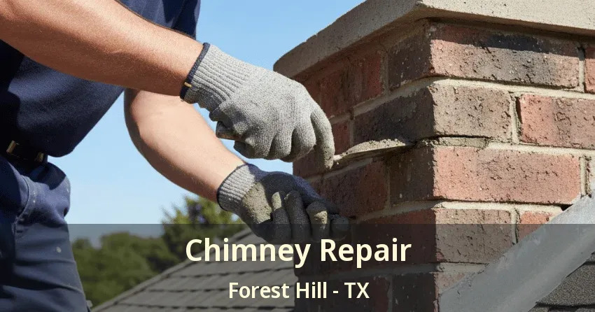 Chimney Repair Forest Hill - TX