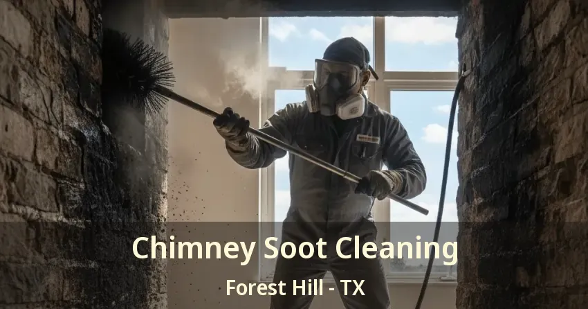 Chimney Soot Cleaning Forest Hill - TX