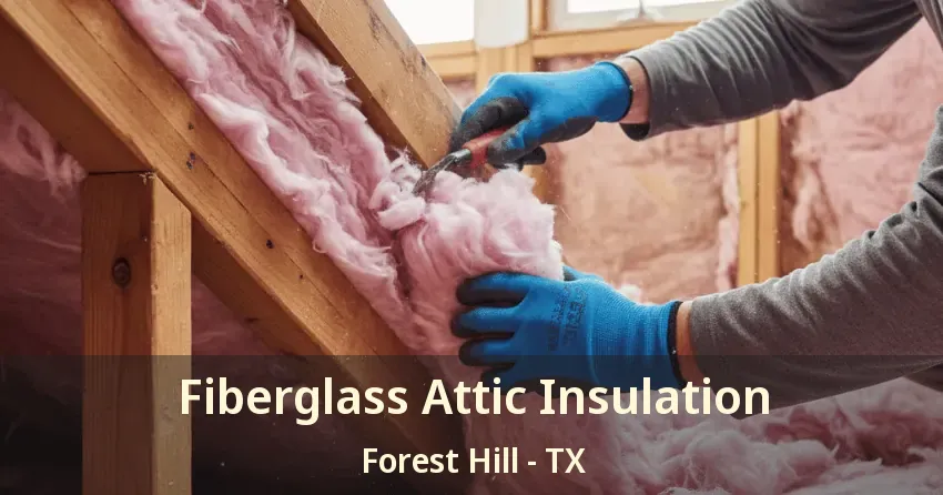 Fiberglass Attic Insulation Forest Hill - TX
