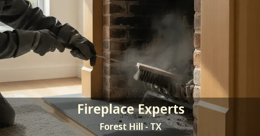Fireplace Experts Forest Hill - TX