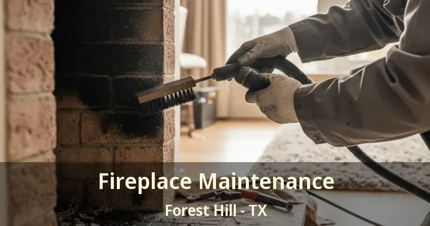 Fireplace Maintenance Forest Hill - TX