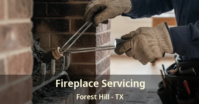 Fireplace Servicing Forest Hill - TX