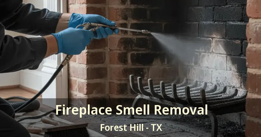 Fireplace Smell Removal Forest Hill - TX