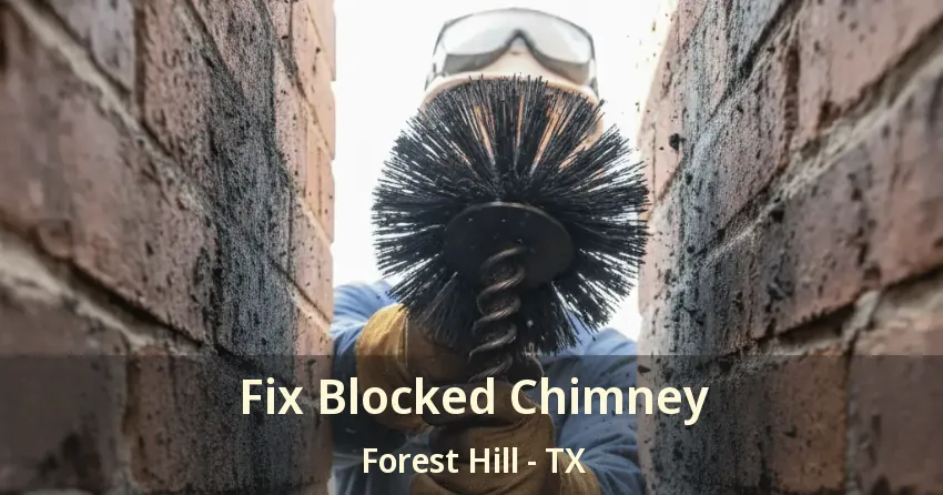 Fix Blocked Chimney Forest Hill - TX