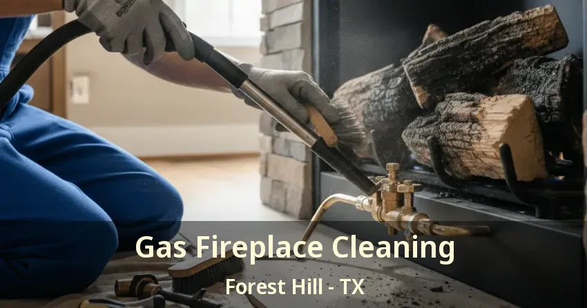 Gas Fireplace Cleaning Forest Hill - TX
