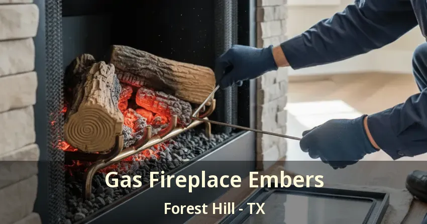 Gas Fireplace Embers Forest Hill - TX