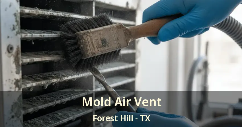Mold Air Vent Forest Hill - TX