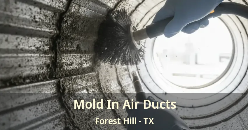 Mold In Air Ducts Forest Hill - TX