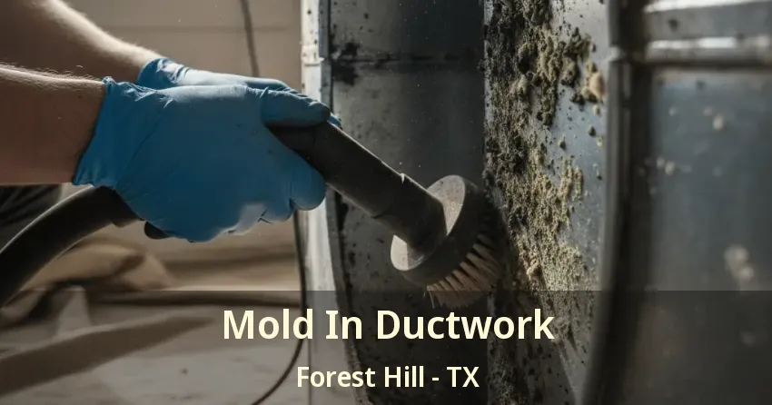 Mold In Ductwork Forest Hill - TX