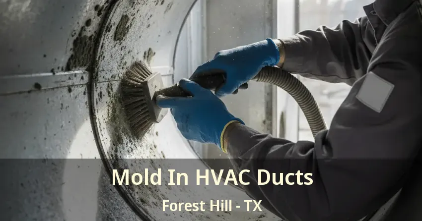 Mold In HVAC Ducts Forest Hill - TX