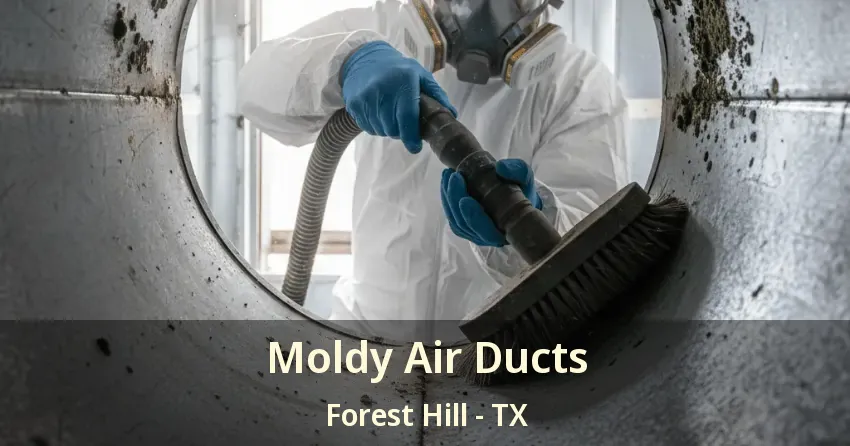 Moldy Air Ducts Forest Hill - TX